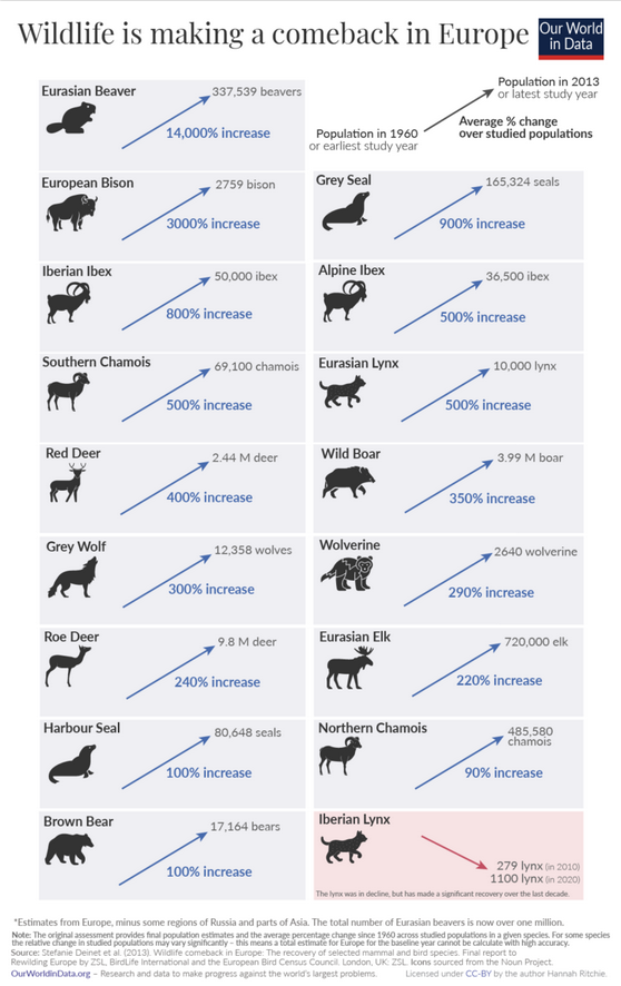 /brief/img/Screenshot 2022-06-09 at 09-00-15 Wild mammals are making a comeback in Europe thanks to conservation efforts.png